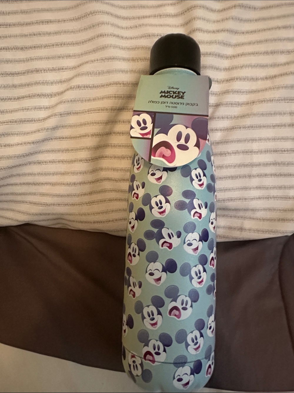Disney Mint Green Stainless Steel Water Bottle Brand New